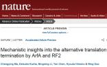 清华大学高宁研究员Nature发表新成果 揭示重要的翻译终止机制