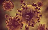 Nature：如何阻断HIV复制？科学家想出新招