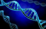 给你答案！辐射究竟如何“破坏”DNA，导致癌症？