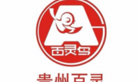 贵州百灵获得药品GMP证书
