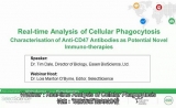 免疫治疗新动向?如何动态观测巨噬细胞的“吞噬”行为？
