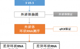首篇脑创伤外泌体环状RNA文章发表！