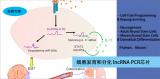 细胞发育和分化lncRNAPCR芯片（Cell Development & Differentiation）（促）