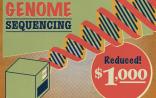 1000美元测序缘何而来？解析美国政府在科学奇迹中扮演的角色