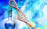 分析逾4万人基因后，国际研究团队新发现11个癫痫相关基因