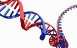 DNA的十大奇异事实，你知道几个？