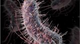 重新编码生命：药物研发的革新，更是生物领域的伟大尝试