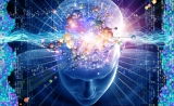 驳斥Nature！首次证实：老年人可产生“新脑细胞”，且和年轻人一样多