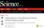 Science超越17年的新发现：蛋白折叠远比描述的更为复杂