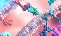 二代更强！Science子刊：CAR-T细胞的“大比拼”