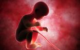Science子刊：首个安全递送药物到“胎盘”的方法