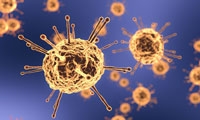 Science：强效中和SARS-CoV-2的人类抗体，都具有这种“优秀”基因
