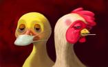 专家：H5N6和H7N9人感染禽流感不会大规模暴发
