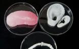 中国首台3D生物打印机走台CES