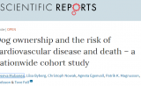 Nature子刊：单身养只狗，死亡风险降低33%