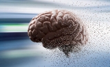 Nature子刊惊人发现：抑郁症会改变大脑结构