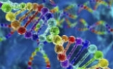 迄今为止最大规模的遗传病转录组测序研究，表明RNA-seq能检测更多的疾病变异