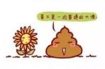 广州医院征“大便” 合格提供者奖200元