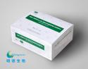 超敏CRP—心脑血管疾病的“地震仪