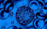 Cellular Biomedicine收购301医院的CAR-T免疫疗法，中国的金蛋为什么砸到美国去了？
