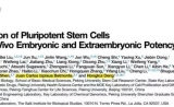 【突破】邓宏魁组Cell报道新型多能干细胞系