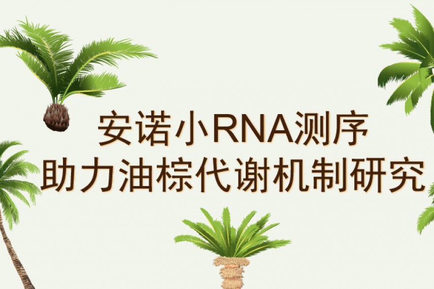 哎“油”，不错哦！“油王”竟被安诺小RNA揭秘