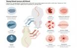 Science：血液抗衰老研究曙光乍现 返老还童有望实现