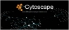 “开源节流”之cytoscape，展示互作网络，一用无忧！