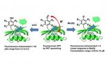 JACS：基因编码非天然氨基酸作为光致电子转移探针扩展荧光蛋白的传感性质