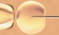 Science揭秘：女性生育能力随年龄增长下降背后的机制