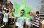 大麻合法化是全社会的灾难
