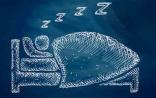 大脑待机时在干啥？Science同日两篇文章阐述睡眠意义