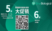 Nature子刊：国内多团队合作发现新冠患者康复期中和抗体交叉反应与滤泡辅助性