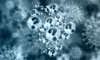 bioRxiv：截至目前，新冠病毒的突变似乎并没有增加其传播力