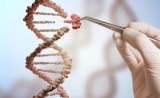 好奇成就创新！这家拥有350年历史的“大药厂”瞄准CRISPR