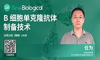 单B细胞抗体技术：病毒中和抗体筛选的利器