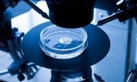 Nature“檄文”！18位科学家呼吁：全面暂停人类生殖系基因编辑的临床应用
