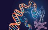 PNAS：脑脊液肿瘤游离DNA，开辟个性化医疗新纪元