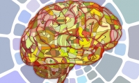 中国脑科学研究要扬长补短：临床资源丰富，研究平台不足
