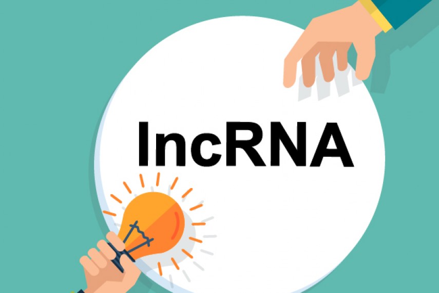 这些lncRNA二代测序问题肯定困惑过你