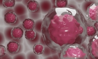Nature突破！科学家发明靶向 TGF-β 的“癌症环境免疫疗法”，癌症治疗或迎新曙