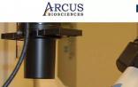 研发个体化肿瘤免疫疗法，Arcus获1.2亿美元融资