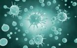 Science子刊：衰老与T细胞之间有何联系？