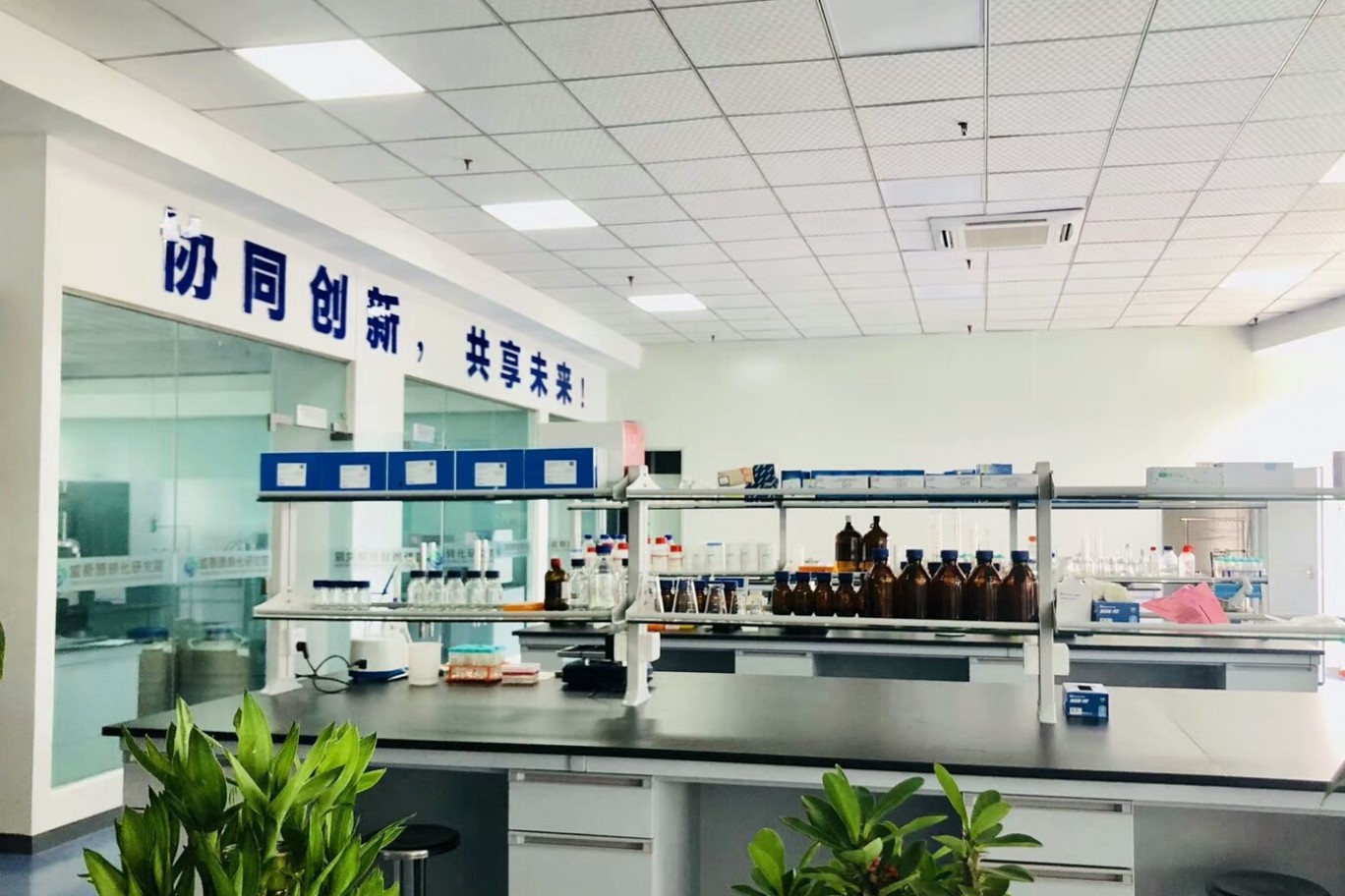 威斯腾生物热烈欢迎江津区招商局领导前来调研走访