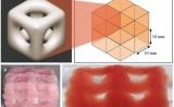 这种新型低温3D打印，产品可模仿大脑和肺部特性