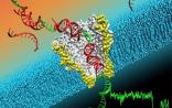 INC-Seq：提高纳米孔测序准确性的新方法