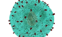 如何增强癌症免疫疗法？Science封面文章出新招