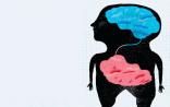 Nature：在小鼠肠道中，神经细胞是免疫系统的“眼睛和耳朵”