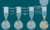 通过技术创新驱动CAR-T制造优化