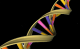 根除癌细胞的利器：双重靶向DNA修复机制 | Cell子刊